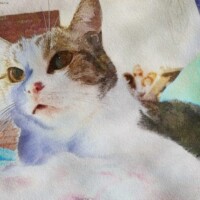 Kermit in Watercolour